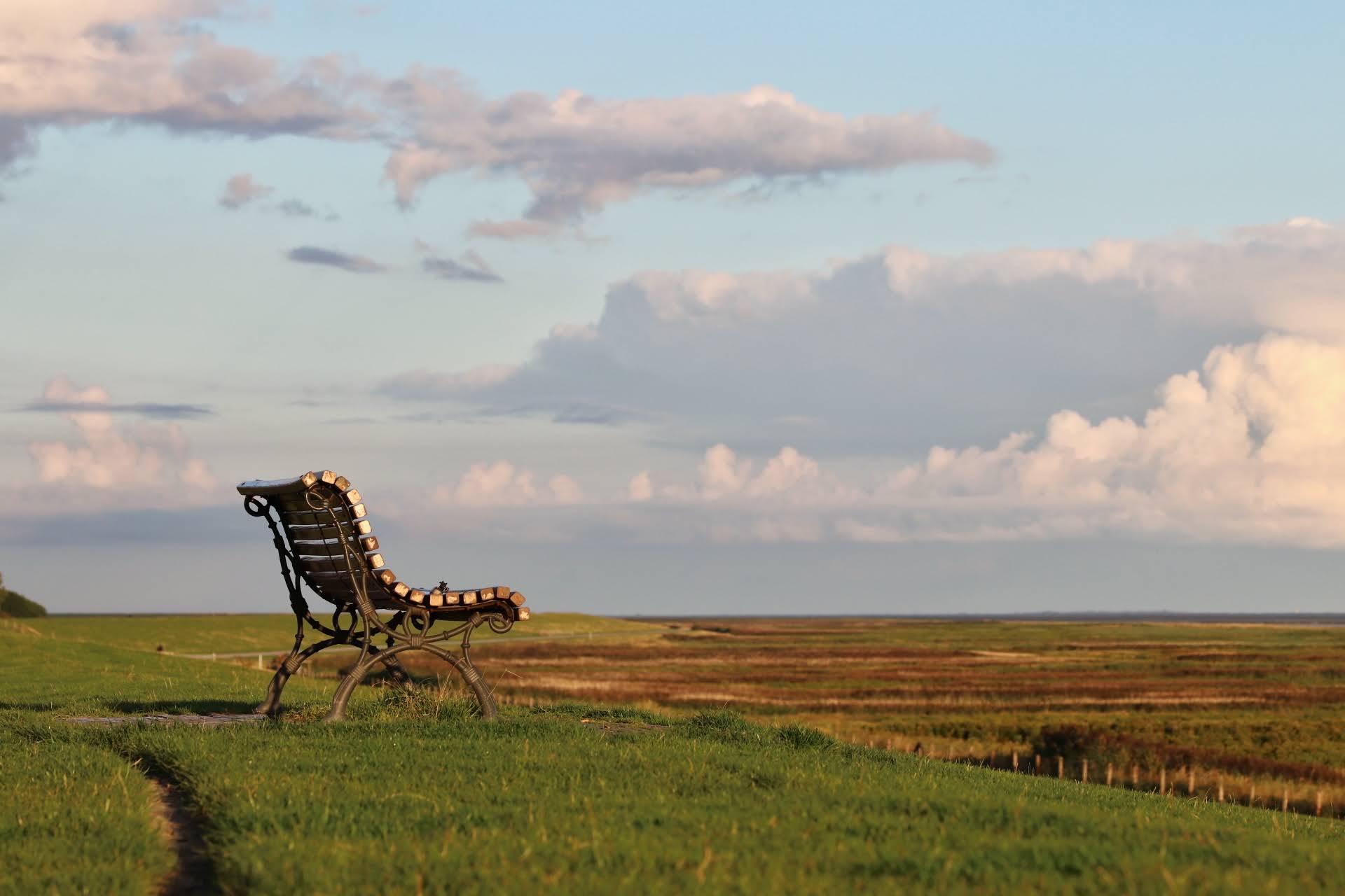 Deichblick - Direkt am Deich
